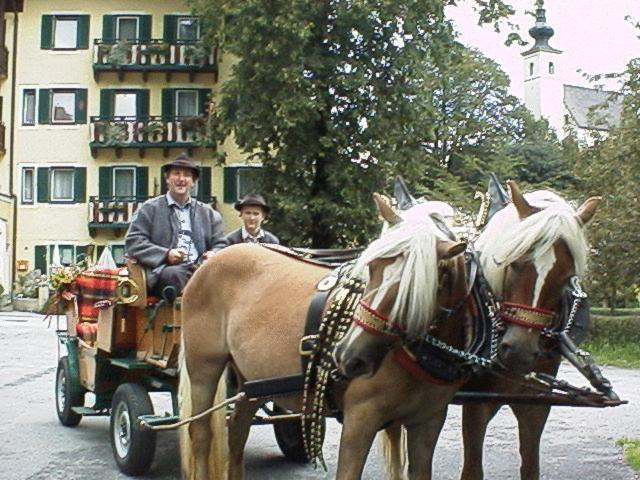Torrenerhof 3* Golling an der Salzach